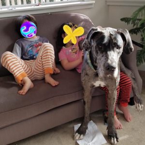 Zeus - One Dane at a Time
